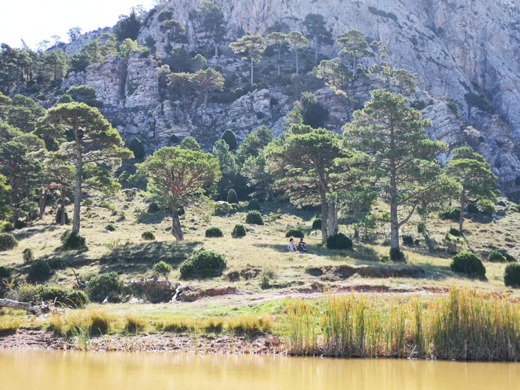 L'Antic Forn De Pauels Villa Buitenkant foto