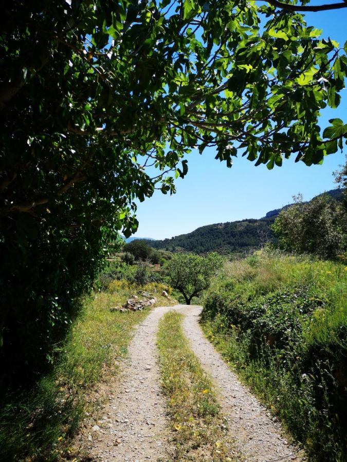 L'Antic Forn De Pauels Villa Buitenkant foto
