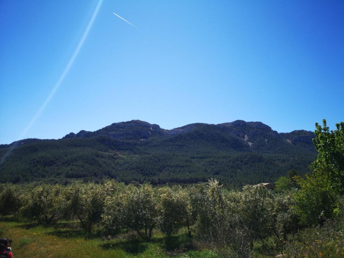 L'Antic Forn De Pauels Villa Buitenkant foto