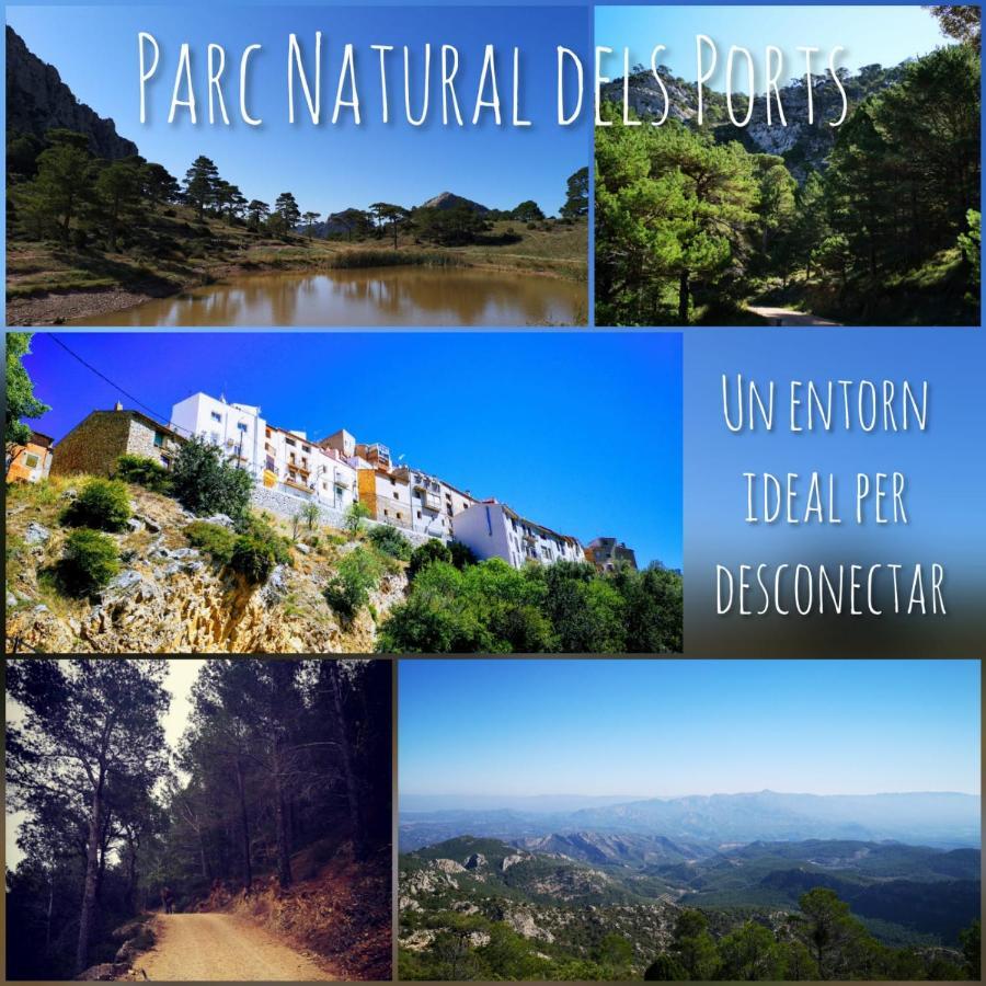 L'Antic Forn De Pauels Villa Buitenkant foto